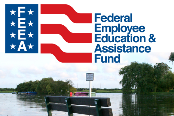 FEEA logo and flooded bus stop